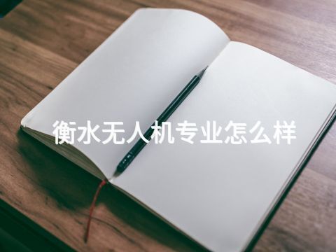 衡水无人机专业怎么样