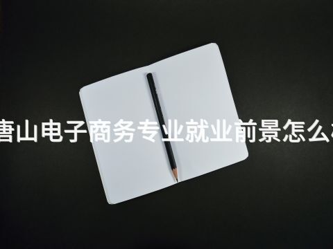 唐山電子商務專業就業前景怎么樣(圖1) 唐山電子商務專業就業前景怎么樣(圖1)