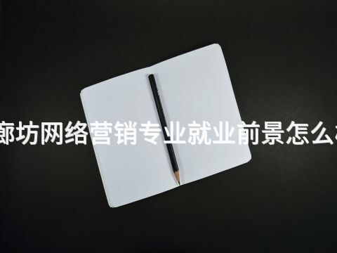 廊坊網絡營銷專業就業前景怎么樣