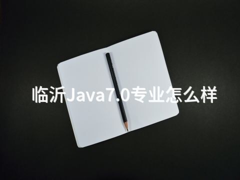 临沂Java7.0专业怎么样
