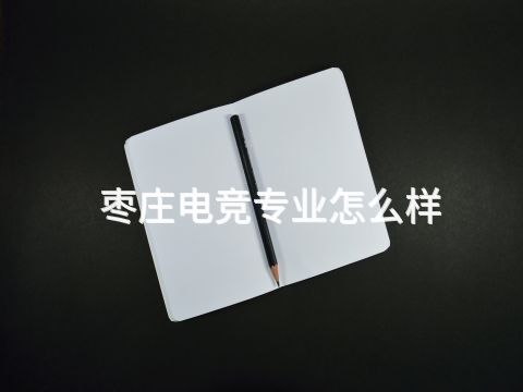 枣庄电竞专业怎么样