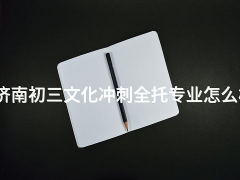 济南初三文化冲刺全托专业怎么样