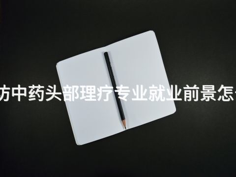 廊坊中药头部理疗专业就业前景怎么样