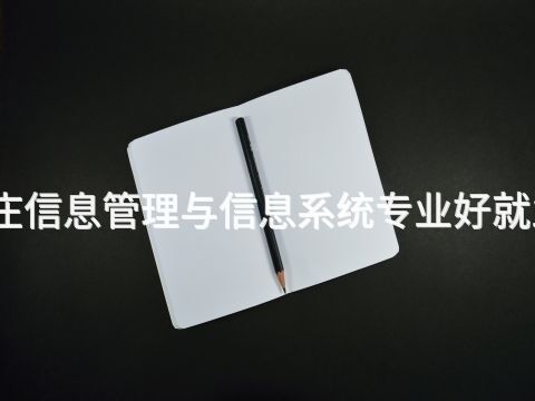 枣庄信息管理与信息系统专业好就业吗
