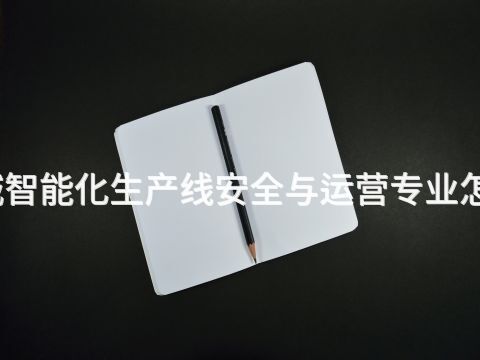聊城智能化生产线安全与运营专业怎么样