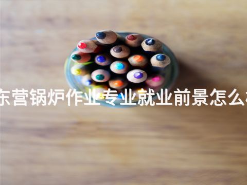 东营锅炉作业专业就业前景怎么样