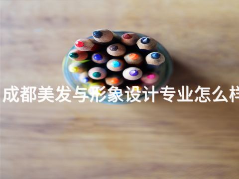 成都美發(fā)與形象設(shè)計(jì)專業(yè)怎么樣