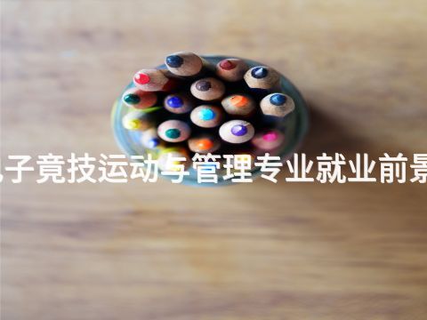 菏泽电子竟技运动与管理专业就业前景怎么样