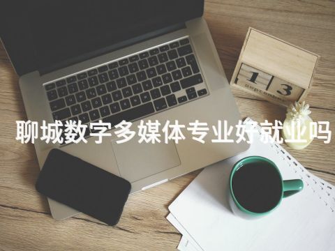 聊城数字多媒体专业好就业吗(图1)