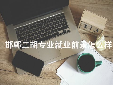邯郸二胡专业就业前景怎么样(图1)