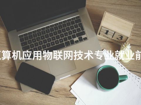 雄安新区算机应用物联网技术专业就业前景怎么样(图1) 雄安新区算机应用物联网技术专业就业前景怎么样(图1)