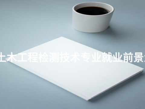 洛阳土木工程检测技术专业就业前景怎么样