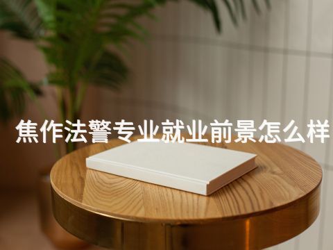 焦作法警专业就业前景怎么样(图1) 焦作法警专业就业前景怎么样(图1)