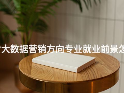 开封大数据营销方向专业就业前景怎么样
