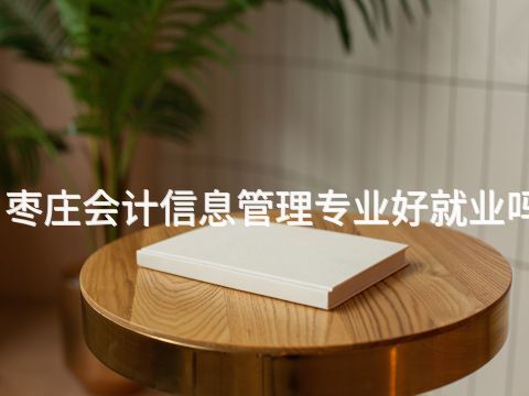 枣庄会计信息管理专业好就业吗