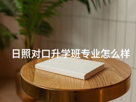 日照对口升学班专业怎么样