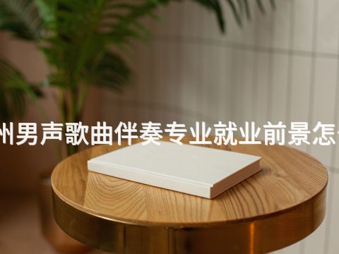 滄州男聲歌曲伴奏專業就業前景怎么樣