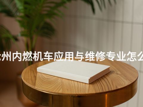 沧州内燃机车应用与维修专业怎么样