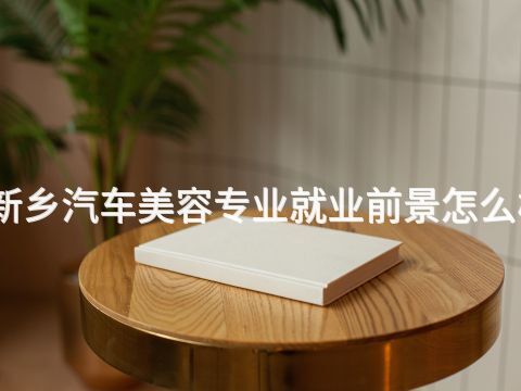 新乡汽车美容专业就业前景怎么样