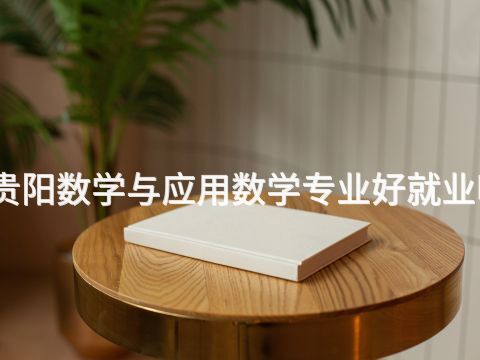 贵阳数学与应用数学专业好就业吗