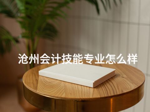 沧州会计技能专业怎么样