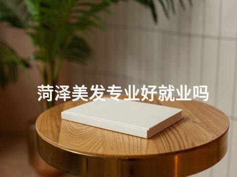 菏澤美發(fā)專業(yè)好就業(yè)嗎