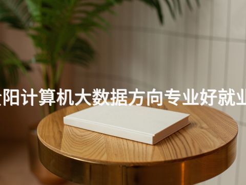 贵阳计算机大数据方向专业好就业吗