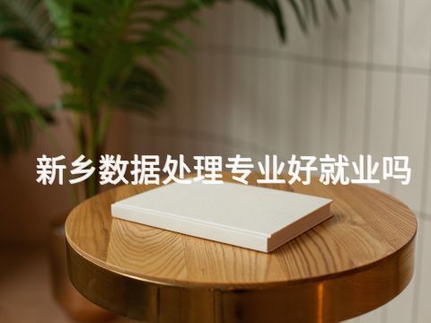 新乡数据处理专业好就业吗(图1) 新乡数据处理专业好就业吗(图1)