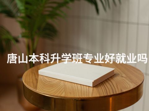 唐山本科升学班专业好就业吗