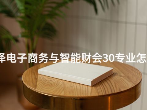 菏泽电子商务与智能财会30专业怎么样