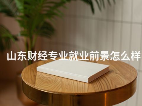 山东财经专业就业前景怎么样(图1) 山东财经专业就业前景怎么样(图1)