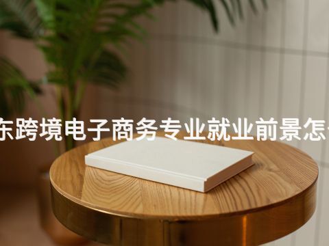 山东跨境电子商务专业就业前景怎么样(图1) 山东跨境电子商务专业就业前景怎么样(图1)