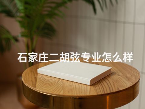 石家庄二胡弦专业怎么样(图1) 石家庄二胡弦专业怎么样(图1)