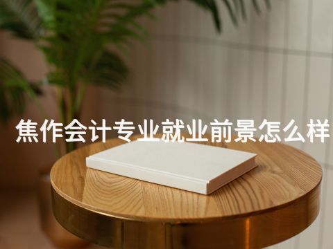 焦作会计专业就业前景怎么样