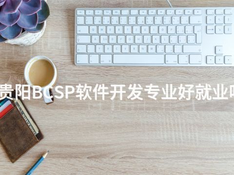 贵阳BCSP软件开发专业好就业吗(图1) 贵阳BCSP软件开发专业好就业吗(图1)