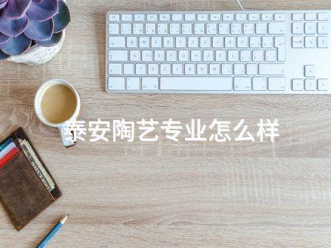 泰安陶艺专业怎么样(图1) 泰安陶艺专业怎么样(图1)
