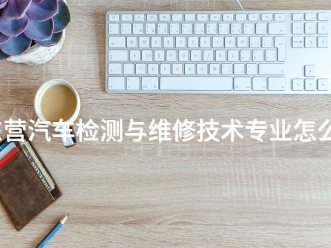 东营汽车检测与维修技术专业怎么样(图1) 东营汽车检测与维修技术专业怎么样(图1)