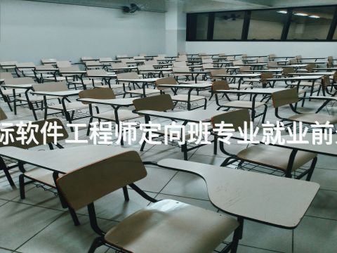 四川国际软件工程师定向班专业就业前景怎么样