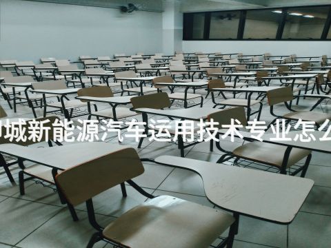 聊城新能源汽车运用技术专业怎么样
