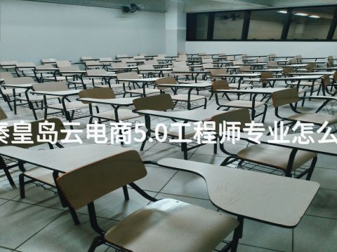秦皇岛云电商5.0工程师专业怎么样