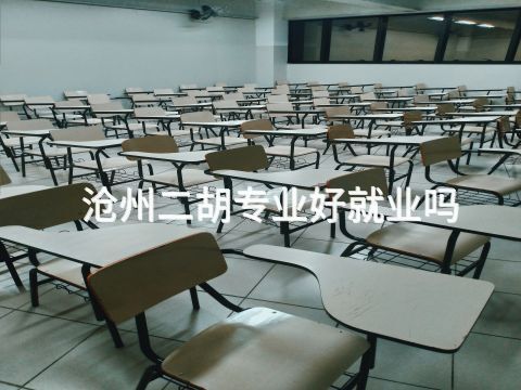 滄州二胡專業(yè)好就業(yè)嗎(圖1) 滄州二胡專業(yè)好就業(yè)嗎(圖1)