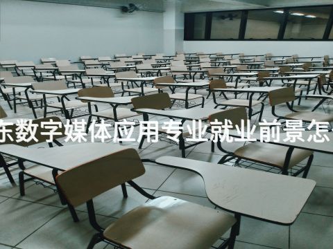 山东数字媒体应用专业就业前景怎么样(图1) 山东数字媒体应用专业就业前景怎么样(图1)