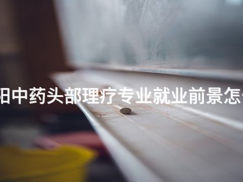 贵阳中药头部理疗专业就业前景怎么样