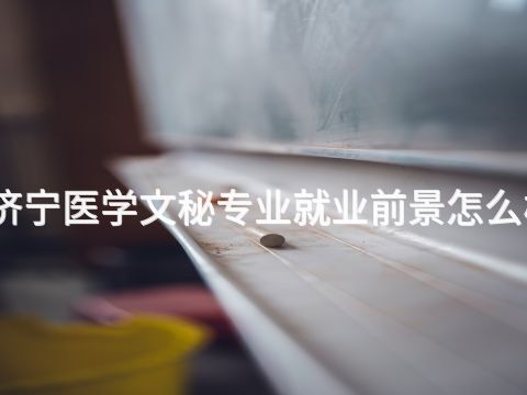 济宁医学文秘专业就业前景怎么样