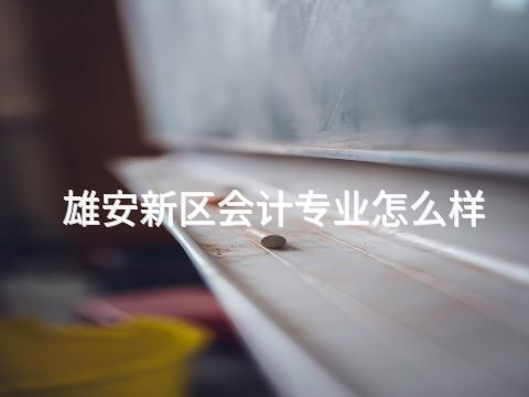 雄安新區(qū)會(huì)計(jì)專業(yè)怎么樣