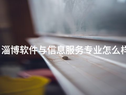 淄博软件与信息服务专业怎么样