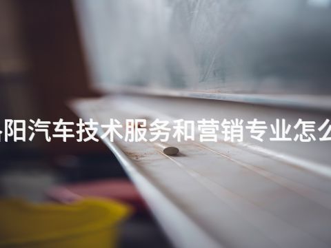 洛阳汽车技术服务和营销专业怎么样(图1) 洛阳汽车技术服务和营销专业怎么样(图1)