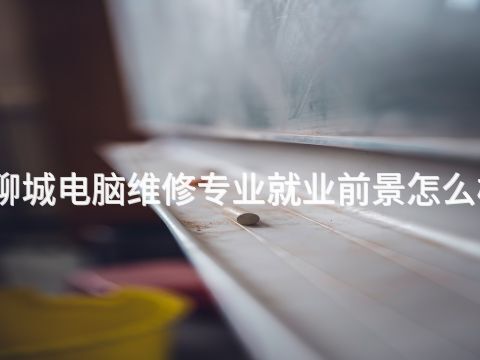 聊城电脑维修专业就业前景怎么样(图1)
