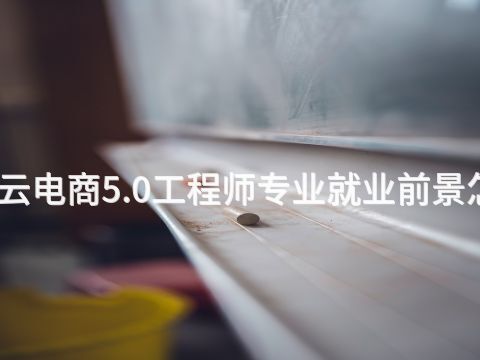 承德云电商5.0工程师专业就业前景怎么样