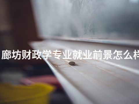 廊坊財政學專業就業前景怎么樣